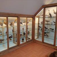 Agencement vitrine